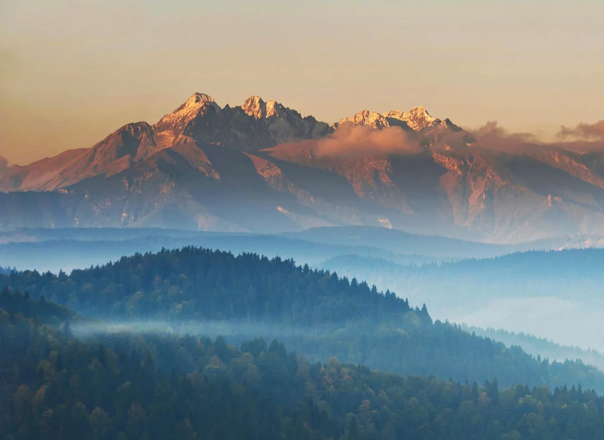 Obsługa firm w zakresie ochrony środowiska: Kluczowe strategie i najlepsze praktyki dla zrównoważonego rozwoju