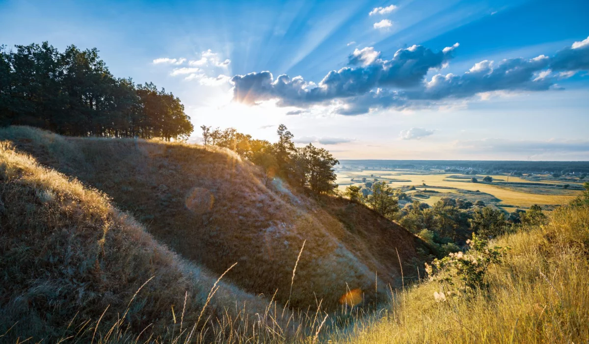 Zdrowe kwiaty: Jak dbać o rośliny, które wpływają na nasze samopoczucie