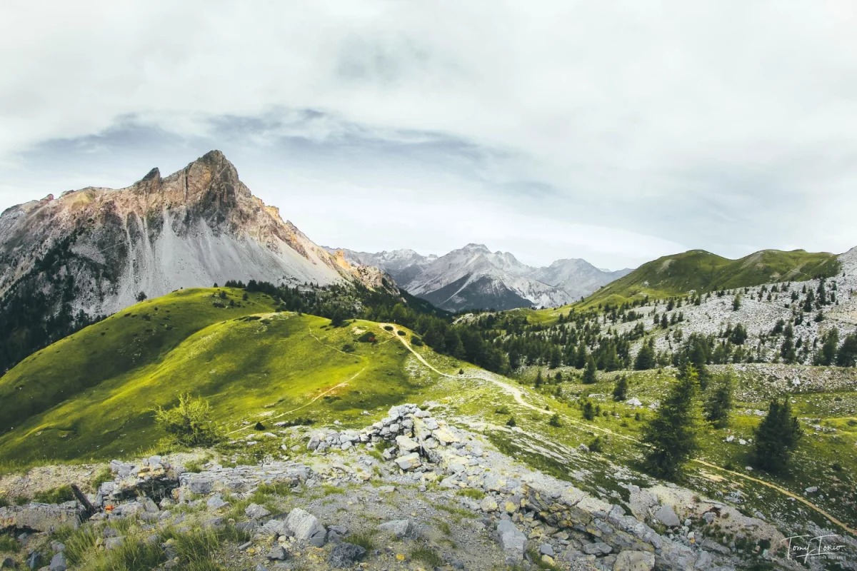 Finanse w pracy nauczyciela: Jak zarządzać budżetem osobistym i zawodowym?