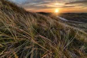 BDO dla producenta pralek: Jak skutecznie zarządzać gospodarką odpadami w branży AGD